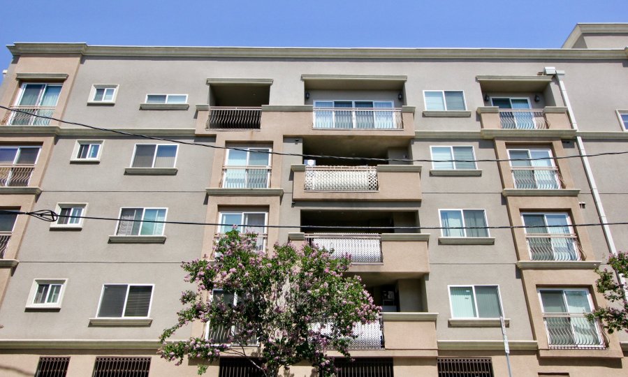 Wilshire Palace Hancock Park CA